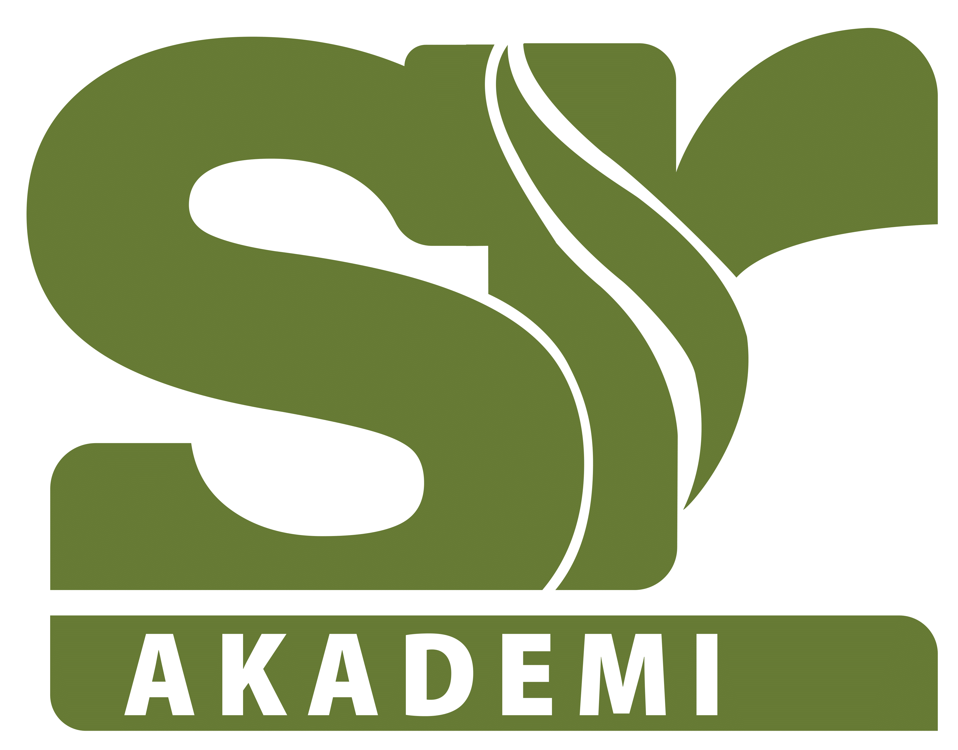 Sera Akademi Logo